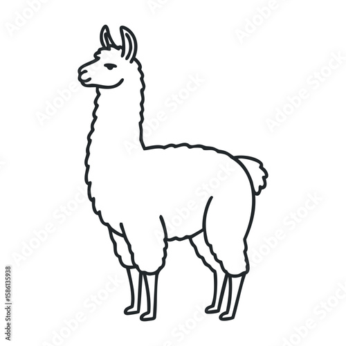 Cute cartoon llama with fluffy fur standing on white background. Outline vector illustration