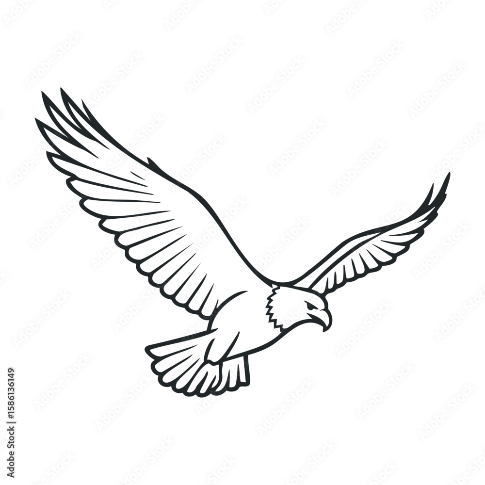 Obraz premium Monochrome eagle drawing with detailed wings and fierce expression in flight. Outline vector illustration