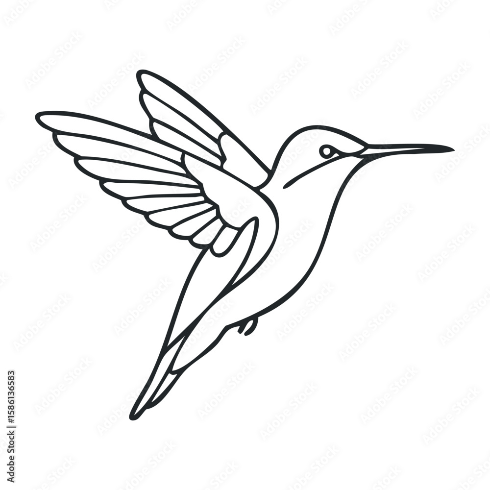 Fototapeta premium Hummingbird outline: detailed line art of a flying bird design with spread wings. Outline vector illustration