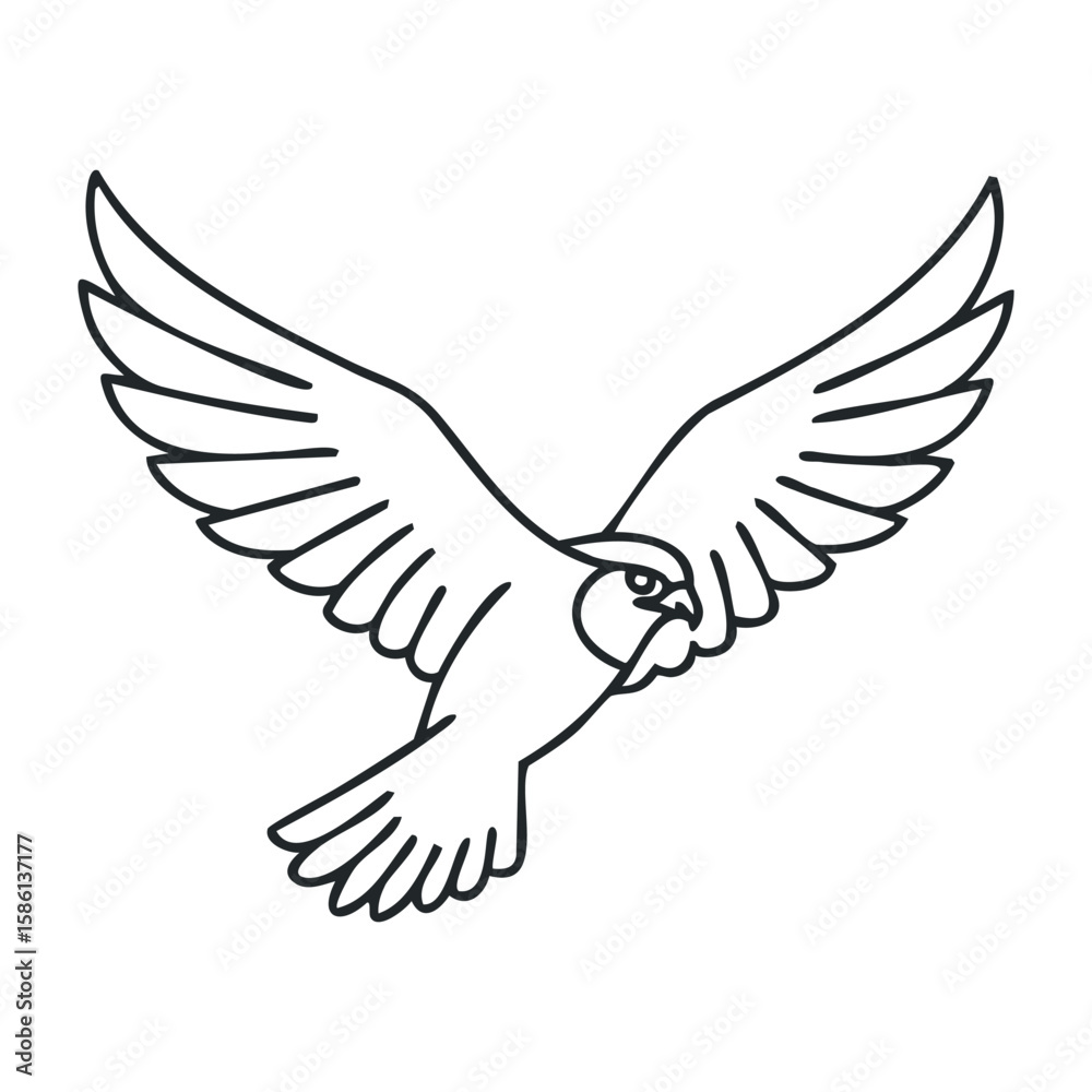 Fototapeta premium Minimalist outline of a falcon with spread wings in flight. Outline vector illustration