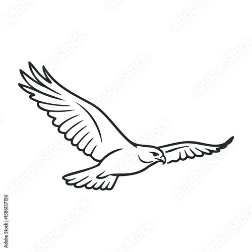 Black and white line drawing of a graceful soaring falcon with outstretched wings. Outline vector illustration