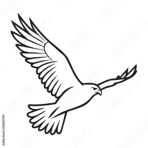 Elegant line drawing of a soaring hawk with outstretched wings in black and white. Outline vector illustration