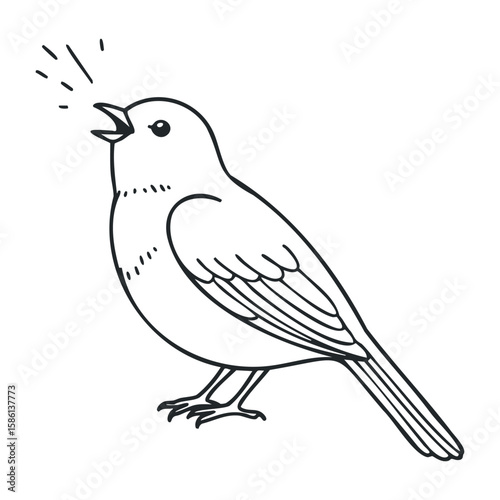 Outline of a singing bird with open beak and raised tail. Outline vector illustration