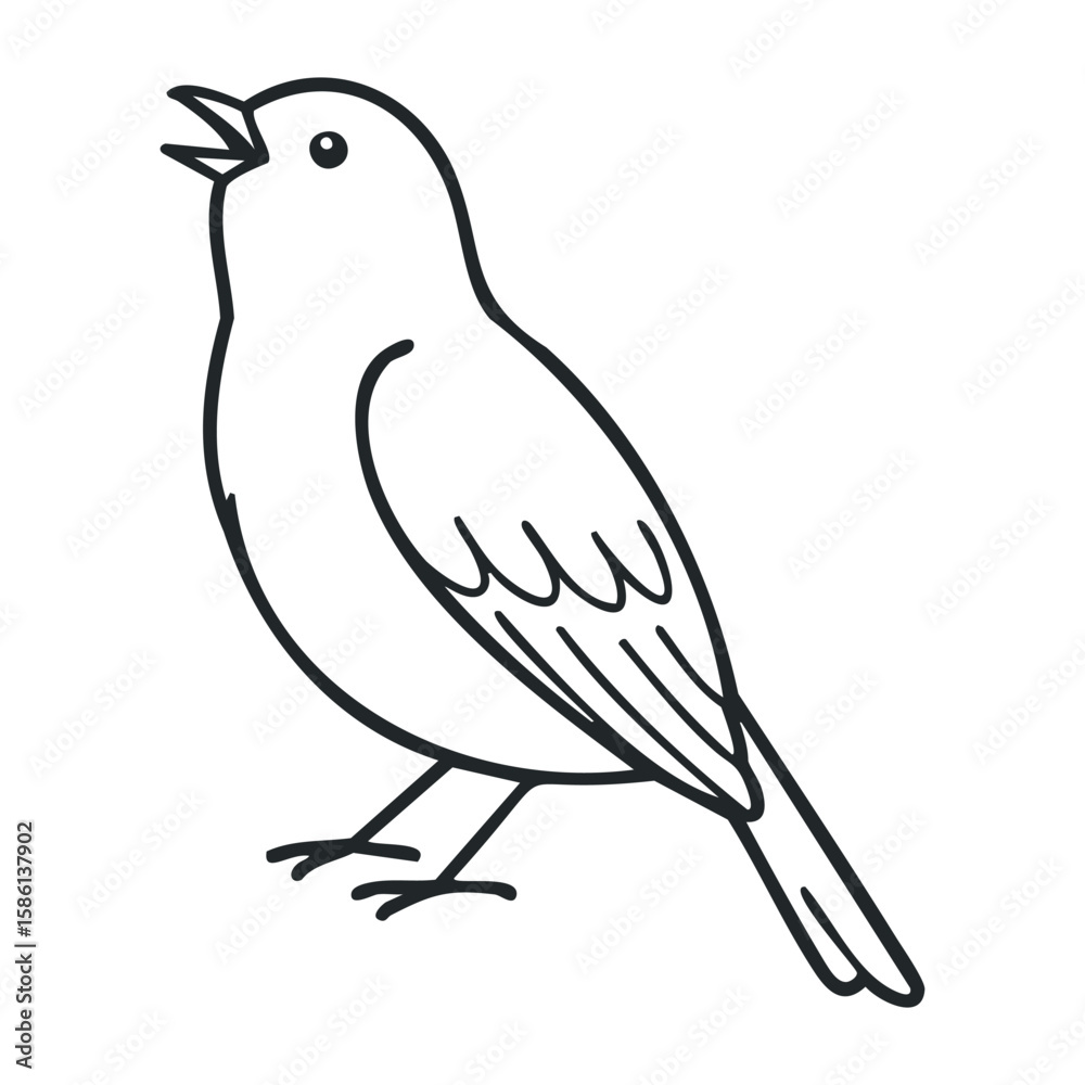 Singing bird outline drawing with open beak and tail up on white background. Outline vector illustration Singing bird outline drawing with open beak and tail up on white background. Outline vector illustration