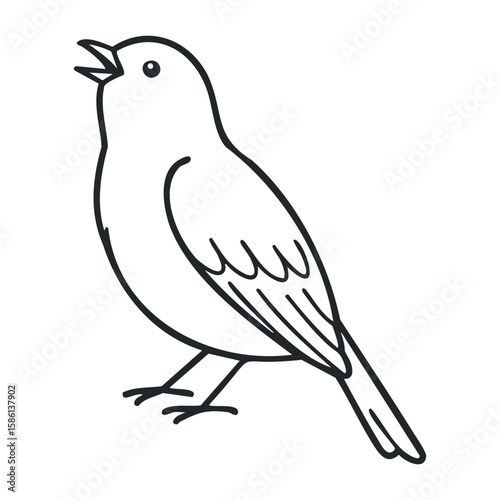 Singing bird outline drawing with open beak and tail up on white background. Outline vector illustration
