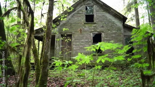 An abandoned wooden house hidden deep in the forest, surrounded by overgrown plants and trees.