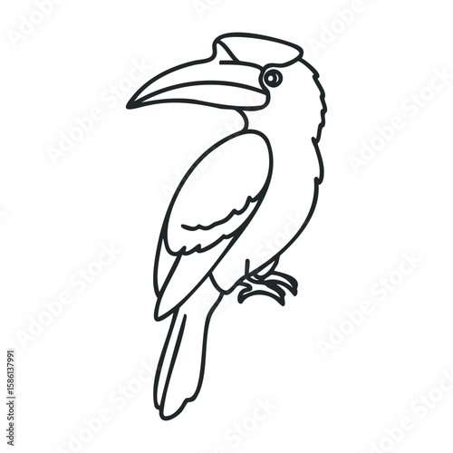Black and white line drawing of a hornbill with large beak and distinctive features. Outline vector illustration