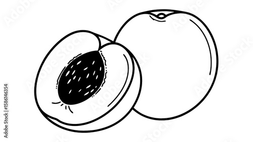 Illustration of two peaches one whole and one sliced showing the pit in black and white drawing style