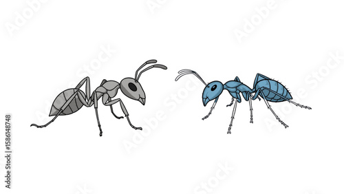 set of ants
