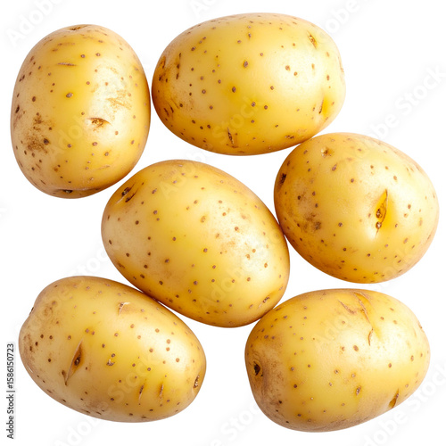  Group of Young Potatoes with Soil Residue, Top View Rustic Composition, Transparent Background