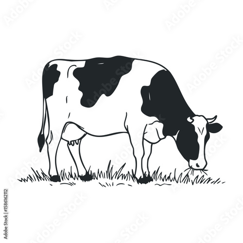 Black and white cow grazing outline on plain background. Hand drawn vector illustration