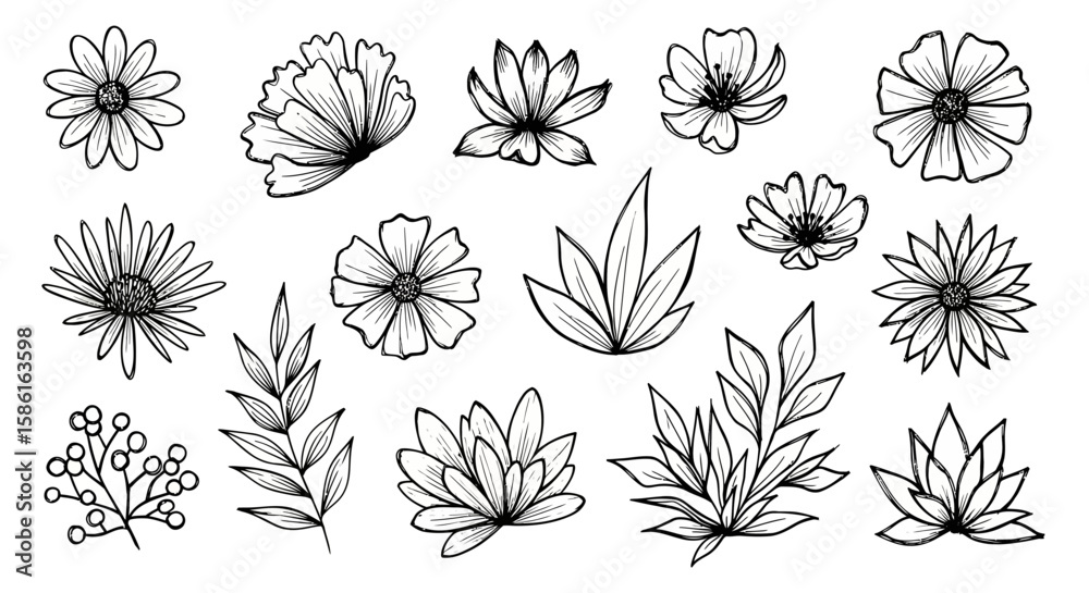 Fototapeta premium Delicate Floral Line Art Collection Hand-Drawn Flowers and Leaves for Creative Designs