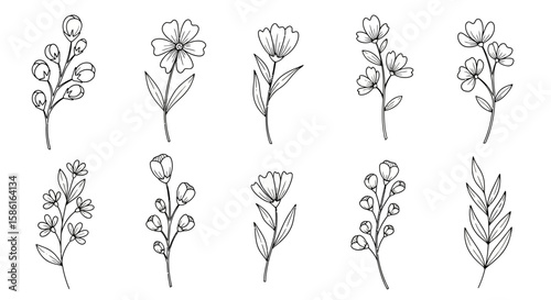 Floral Line Art Collection Botanical Sketches for Creative Designs and Elegant Invitations