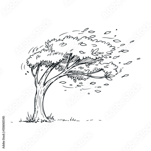 Sketch of windy tree with falling leaves showcasing nature's dynamic movement. Hand drawn vector illustration