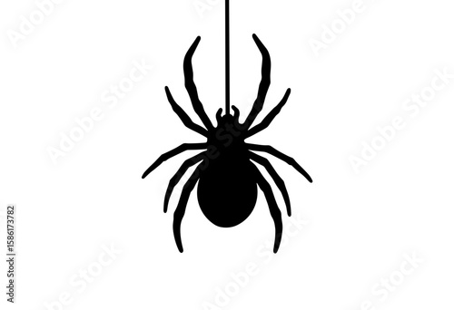 Black spider silhouette hanging from a web on Halloween  