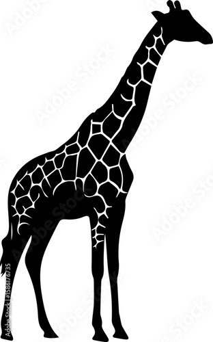 Vector art of giraffe silhouettes isolated on a isolated background