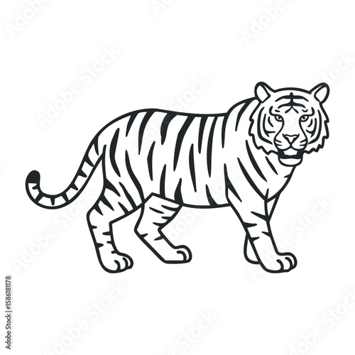 Elegant bengal tiger outline drawing with bold black stripes and graceful stance. Outline vector illustration