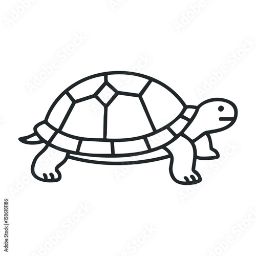 Cartoon outline of walking turtle with detailed shell design in black and white. Outline vector illustration