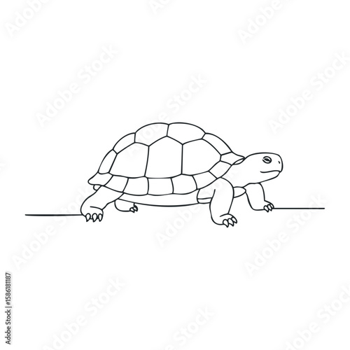 Simple tortoise outline on white background. Outline vector illustration