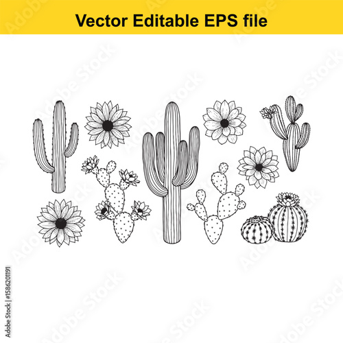 A hand-drawn vector illustration featuring a variety of cactus species, some with delicate flowers, presented as an outline.