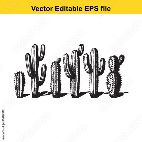 A hand-drawn vector illustration featuring a variety of cactus species, some with delicate flowers, presented as an outline.