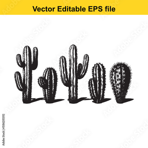 A hand-drawn vector illustration featuring a variety of cactus species, some with delicate flowers, presented as an outline.