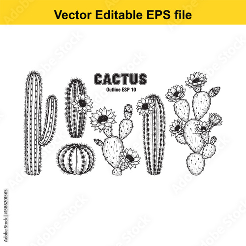 A hand-drawn vector illustration featuring a variety of cactus species, some with delicate flowers, presented as an outline.