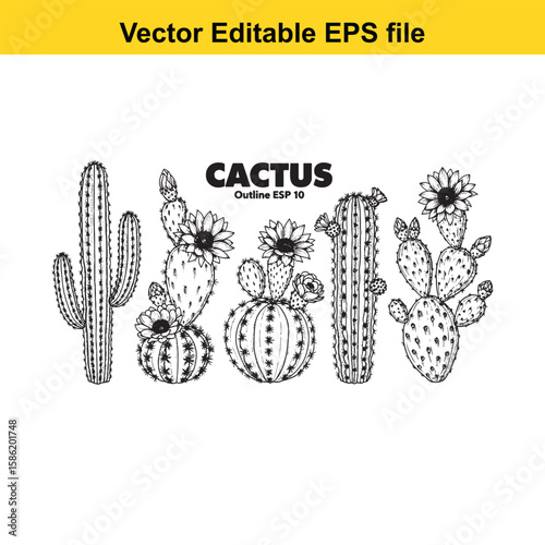 A hand-drawn vector illustration featuring a variety of cactus species, some with delicate flowers, presented as an outline.