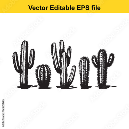 A hand-drawn vector illustration featuring a variety of cactus species, some with delicate flowers, presented as an outline.