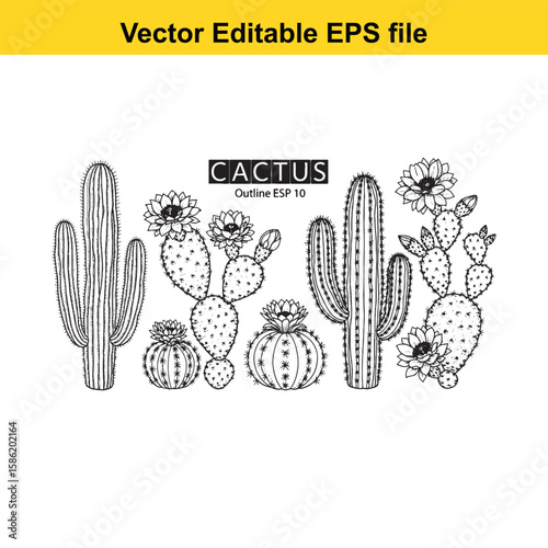 A hand-drawn vector illustration featuring a variety of cactus species, some with delicate flowers, presented as an outline.