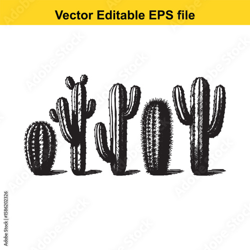 A hand-drawn vector illustration featuring a variety of cactus species, some with delicate flowers, presented as an outline.