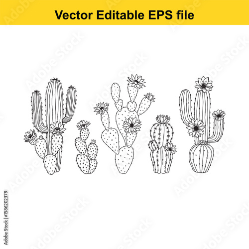 A hand-drawn vector illustration featuring a variety of cactus species, some with delicate flowers, presented as an outline.
