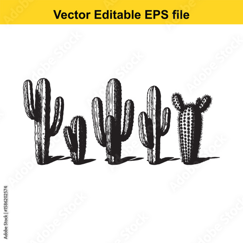 A hand-drawn vector illustration featuring a variety of cactus species, some with delicate flowers, presented as an outline.