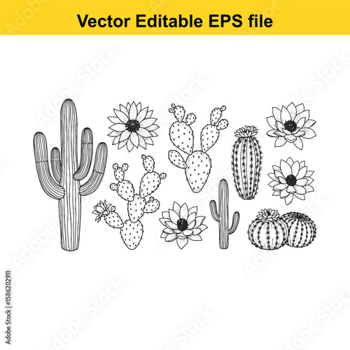 A hand-drawn vector illustration featuring a variety of cactus species, some with delicate flowers, presented as an outline.