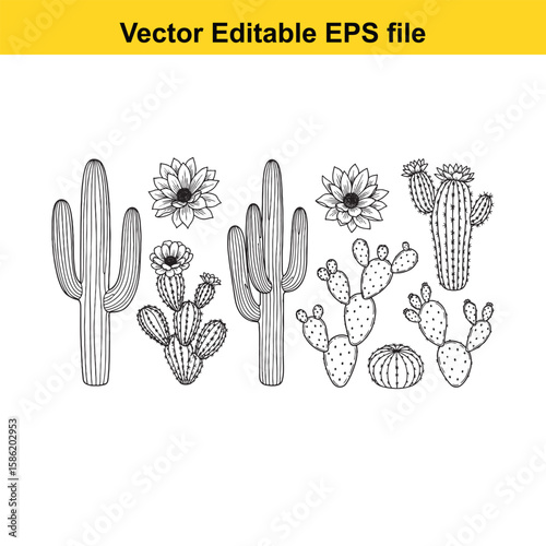 A hand-drawn vector illustration featuring a variety of cactus species, some with delicate flowers, presented as an outline.