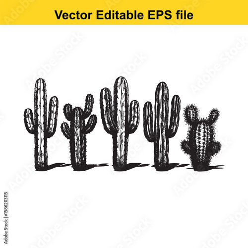 A hand-drawn vector illustration featuring a variety of cactus species, some with delicate flowers, presented as an outline.