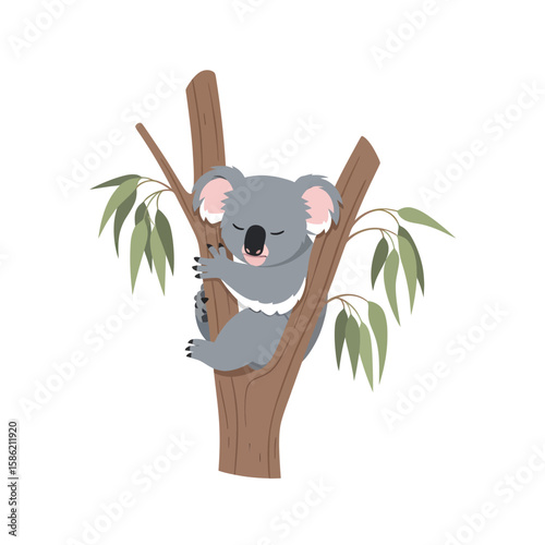 A cartoon koala bear sleeping peacefully while clinging to a tree branch.