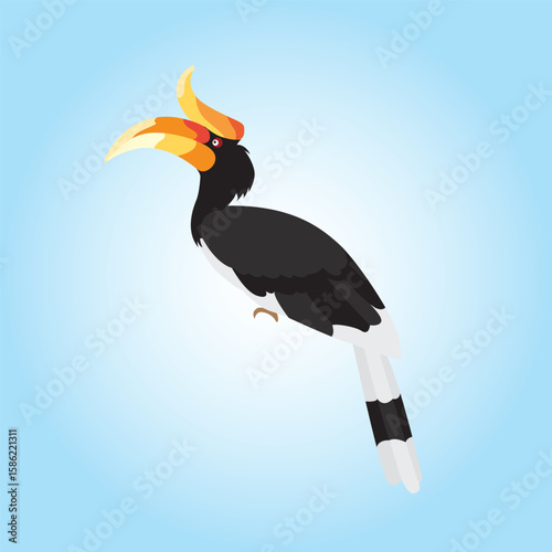 Vector illustration of The Rhinoceros hornbill, a large species of forest hornbill