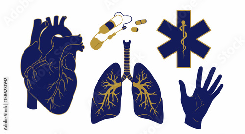 Medical illustrations showcasing the heart, lungs, hand, and medical symbol.