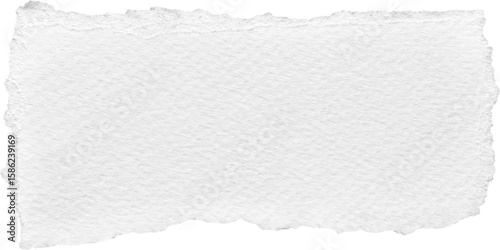 White torn ripped paper element