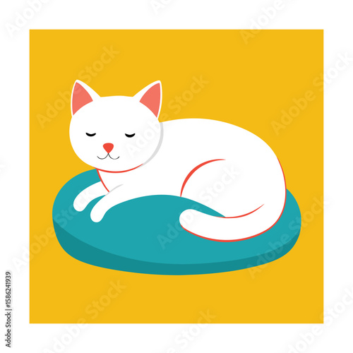 White cat sleeping