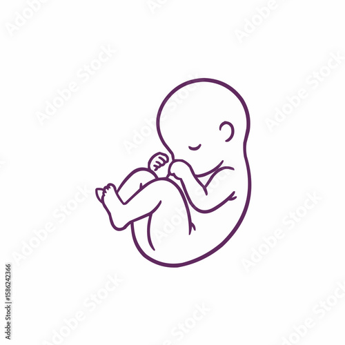 Embryo in womb in fetal position with peaceful expression  