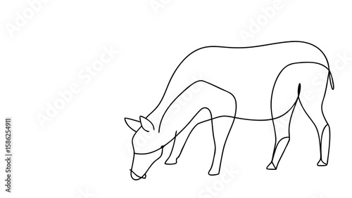 Minimalist Line Drawing Llama Grazing White Background