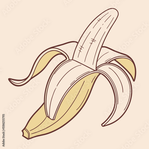 vector illustration of banana