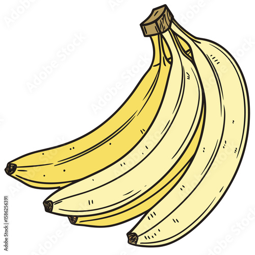 illustration of bananas