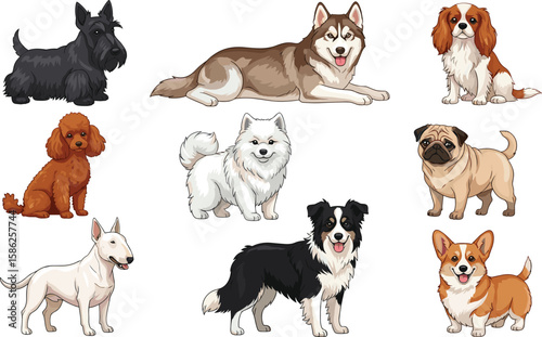 Dogs collection. Vector illustration of funny cartoon diverse breeds dogs in trendy flat style