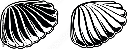 Two scallop shells are presented in a black and white vector graphic