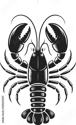Lobster, crustacean, shellfish, marine invertebrate, seafood delicacy, engraved illustration of a lobster with exaggerated claws