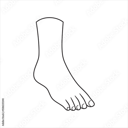 An anatomical black outline of a human foot stands against a transparent backdrop