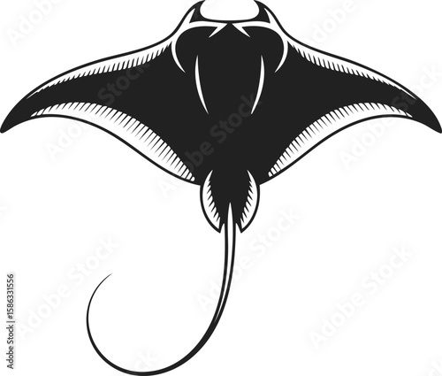 Manta ray, stingray silhouette, marine creature, oceanic inhabitant with graceful movement and flowing fins
